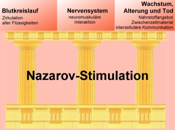 3 S&auml;ulen der Nazarov-Stimulation